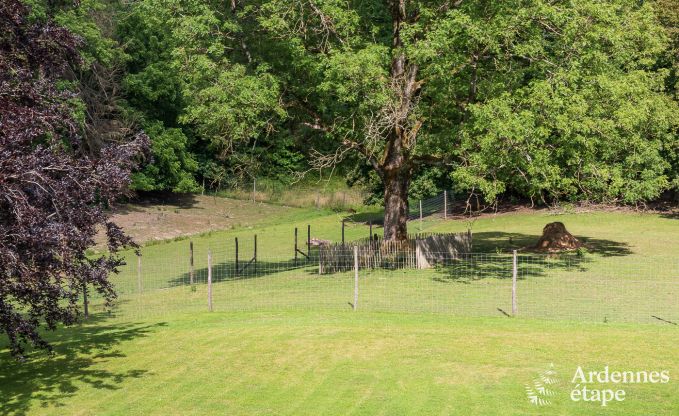 Schloss Marche-en-Famenne 15 Pers. Ardennen Schwimmbad Wellness