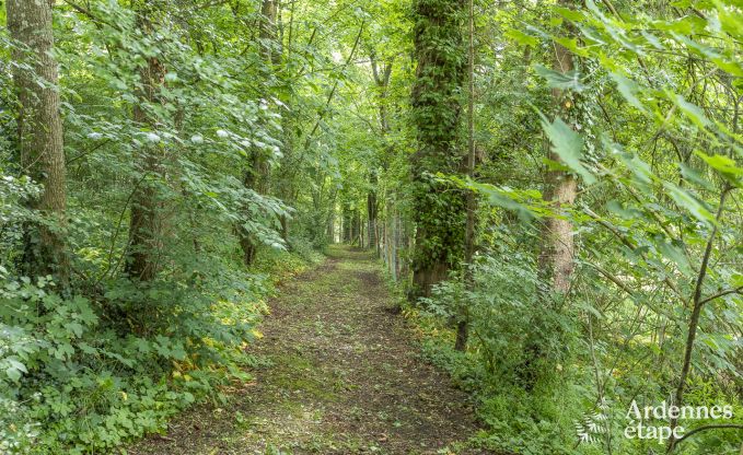 Schloss Marche-en-Famenne 15 Pers. Ardennen Schwimmbad Wellness