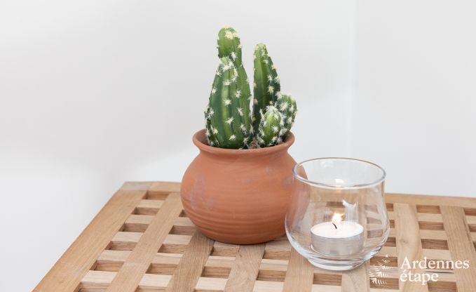 Ferienhaus Marche-en-famenne 6 Pers. Ardennen Schwimmbad Wellness