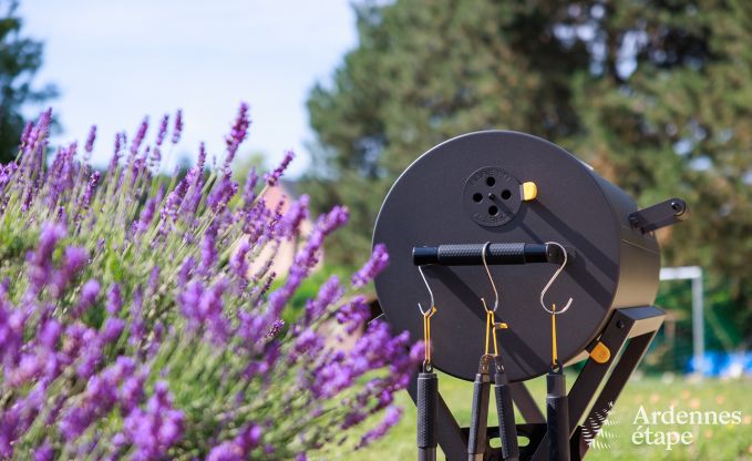 Ferienhaus Marche-en-famenne 6 Pers. Ardennen Schwimmbad Wellness