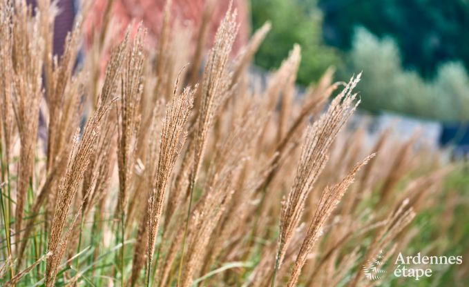 Ferienhaus mit Jacuzzi in Marchin, Ardennen