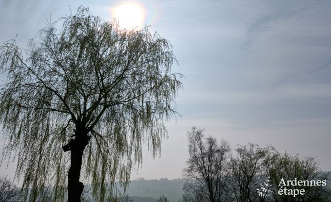 Romantisches Ferienhaus in Marchin fr 2 Personen mit privatem Wellnessbereich und herrlichem Ausblick