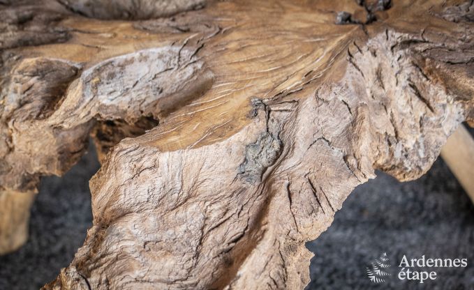 au�ergew�hnliche Ferienwohnung Marchin 2 Pers. Ardennen Wellness