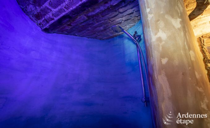 au�ergew�hnliche Ferienwohnung Marchin 2 Pers. Ardennen Wellness