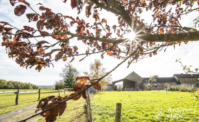 au�ergew�hnliche Ferienwohnung Marchin 2 Pers. Ardennen Wellness