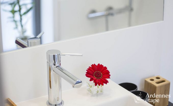 Ferienhaus Marchin 4 Pers. Ardennen