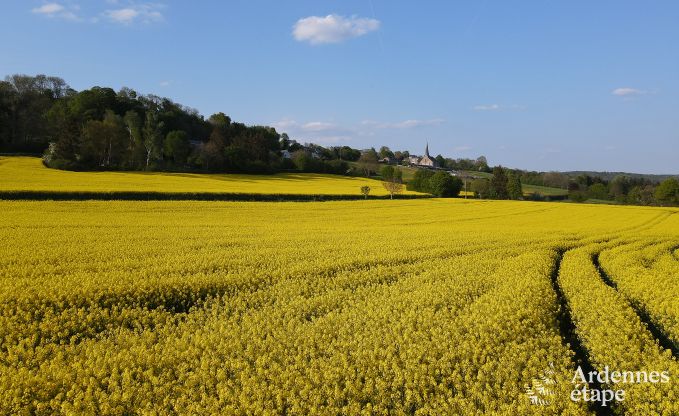 Ferienhaus Marchin 4/6 Pers. Ardennen
