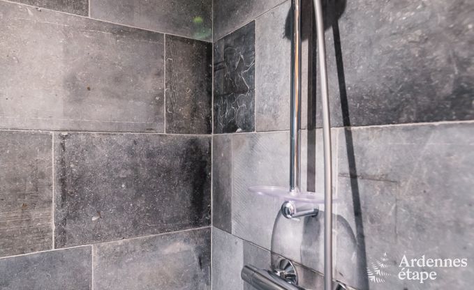 Chalet Maredsous 8 Pers. Ardennen Wellness Behinderten gerecht