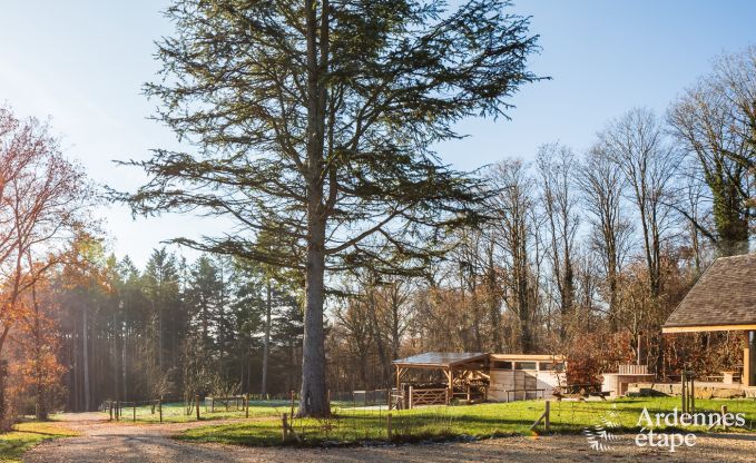 Chalet Maredsous 8 Pers. Ardennen Wellness Behinderten gerecht