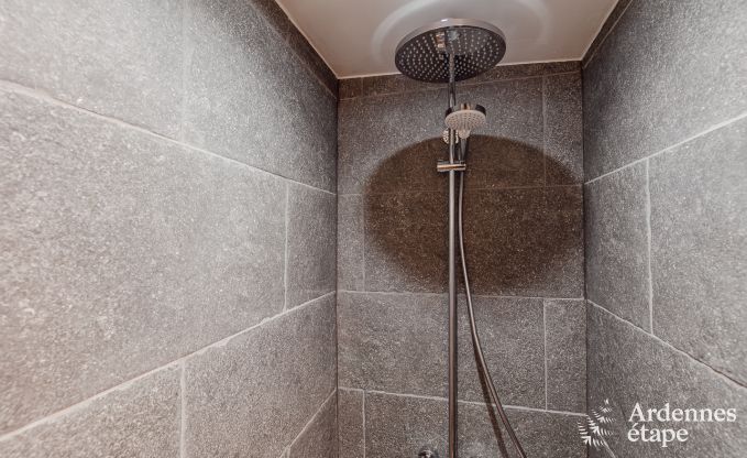 Ferienhaus Maredsous 14 Pers. Ardennen Wellness