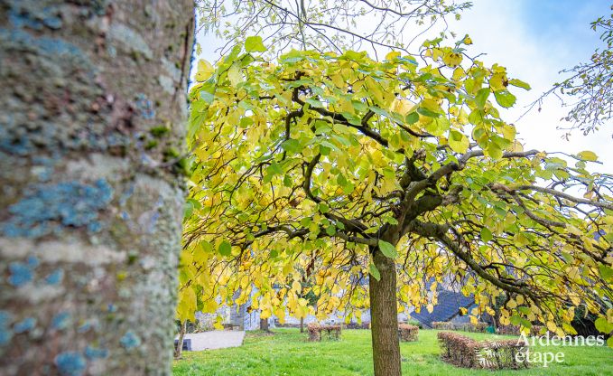 Ferienhaus Maredsous 14 Pers. Ardennen Wellness