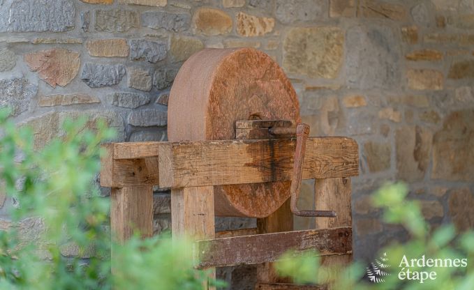 Ferienhaus Maredsous 18 Pers. Ardennen Wellness