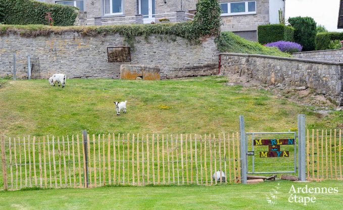 Ferienhaus Maredsous 6 Pers. Ardennen Schwimmbad Wellness