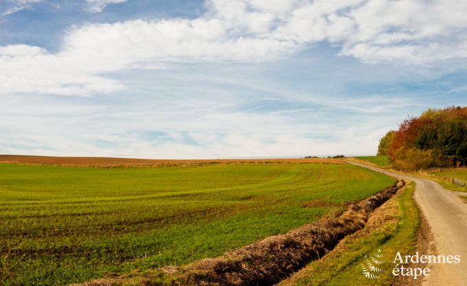 Luxusvilla Maredsous 16 Pers. Ardennen Schwimmbad Wellness