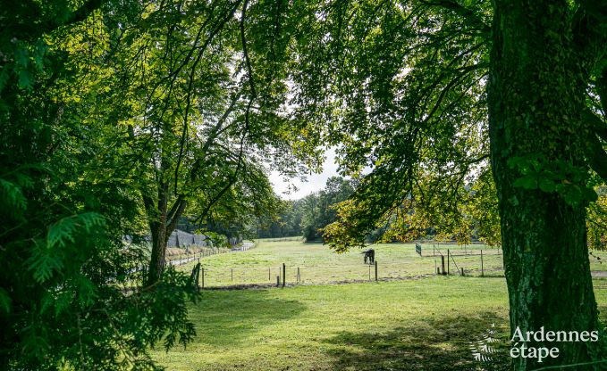 Ferienhaus Maredsous 9 Pers. Ardennen