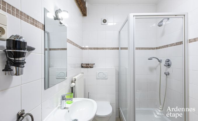 Ferienhaus Maredsous 5 Pers. Ardennen Schwimmbad Wellness