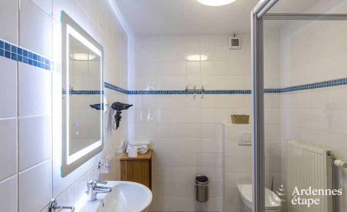 Ferienhaus Maredsous 6 Pers. Ardennen Schwimmbad Wellness