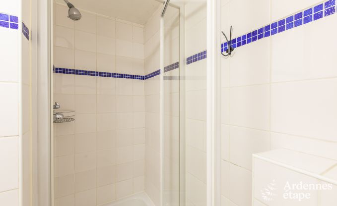 Ferienhaus Maredsous 6 Pers. Ardennen Schwimmbad Wellness