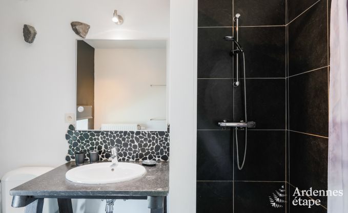 Ferienhaus Maredsous 13 Pers. Ardennen Schwimmbad Wellness