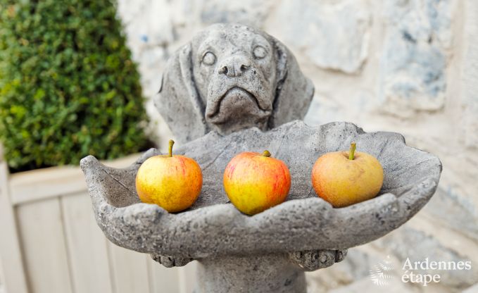 Luxusvilla Maredsous 16 Pers. Ardennen Schwimmbad Wellness