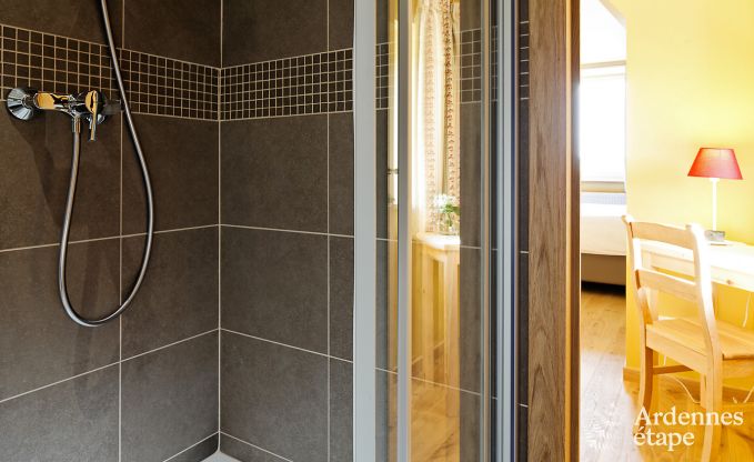 Luxusvilla Maredsous 16 Pers. Ardennen Schwimmbad Wellness