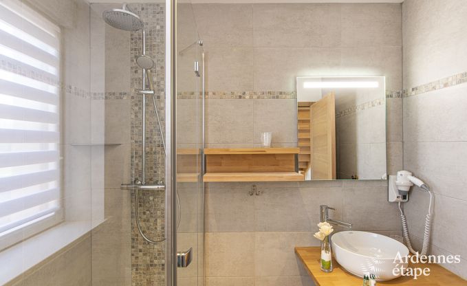 Ferienhaus Messincourt (France) 4/6 Pers. Ardennen Wellness