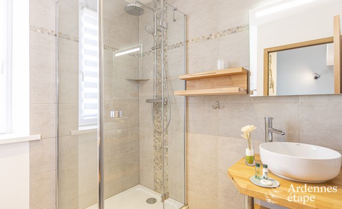 Ferienhaus Messincourt (France) 4/6 Pers. Ardennen Wellness