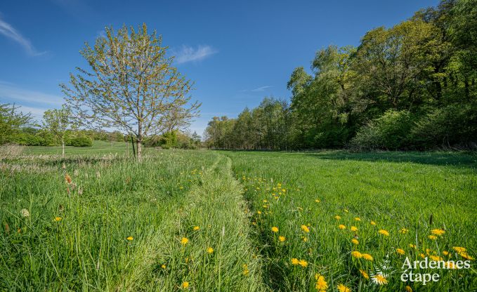 Ger�umiges Ferienhaus in Maredsous f�r 18 Personen mit 6 Schlafzimmern, 5 Badezimmern, Pizzaofen und gro�em Privatgarten in der N�he von Dinant und Mettet