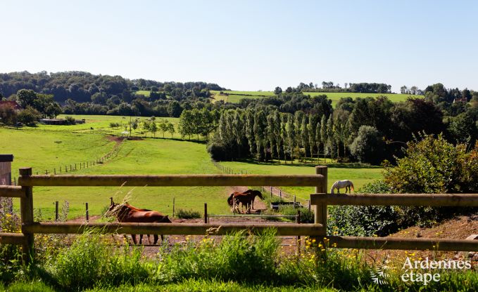 Ferienhaus Modave 20/22 Pers. Ardennen