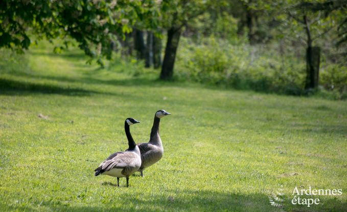 Romantisches Chalet am Wasser f�r 2 Personen in Momignies