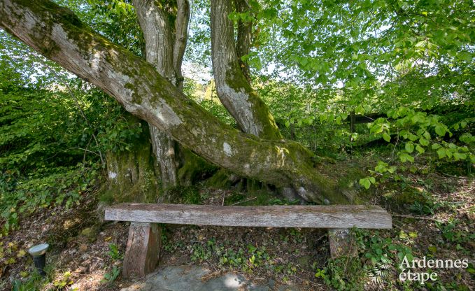 Romantisches Chalet am Wasser f�r 2 Personen in Momignies