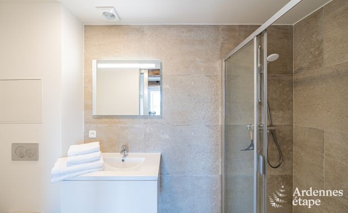 Ferienhaus Moustier-en-Fagne (FR) 14 Pers. Ardennen Wellness