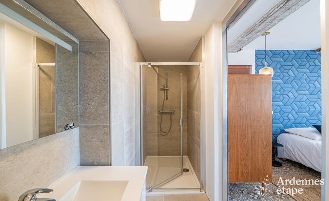 Ferienhaus Moustier-en-Fagne (FR) 14 Pers. Ardennen Wellness