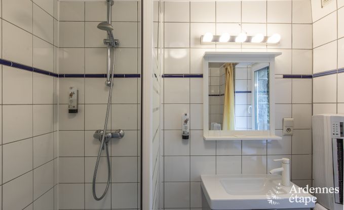 Urlaub mitten in der Natur in den Ardennen: Ger�umige Villa in Houffalize (Nadrin) f�r 28 Personen mit zahlreichen Annehmlichkeiten und Dienstleistungen, Haustiere willkommen