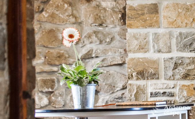 Ferienhaus Namur 9 Pers. Ardennen Schwimmbad