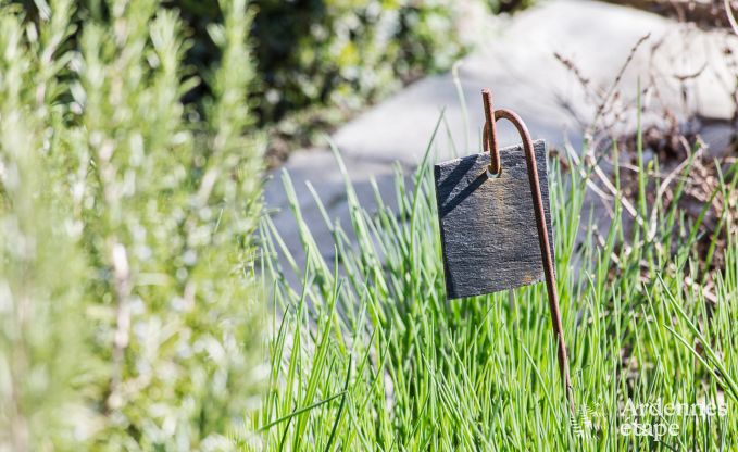 Ferienhaus Namur 9 Pers. Ardennen Schwimmbad