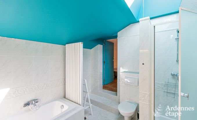 Ferienhaus Namur 9 Pers. Ardennen Schwimmbad