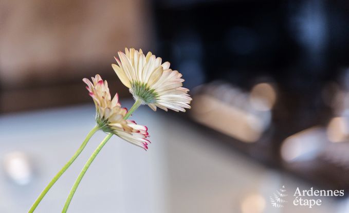 Ferienhaus Namur 9 Pers. Ardennen Schwimmbad