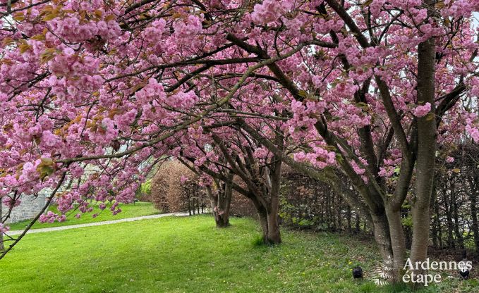 Ferienhaus Hamois 8 Pers. Ardennen Behinderten gerecht