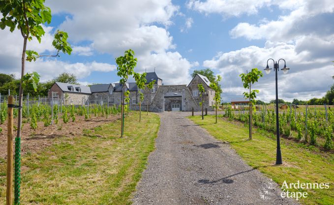 Ferienhaus Nandrin 8 Pers. Ardennen Schwimmbad
