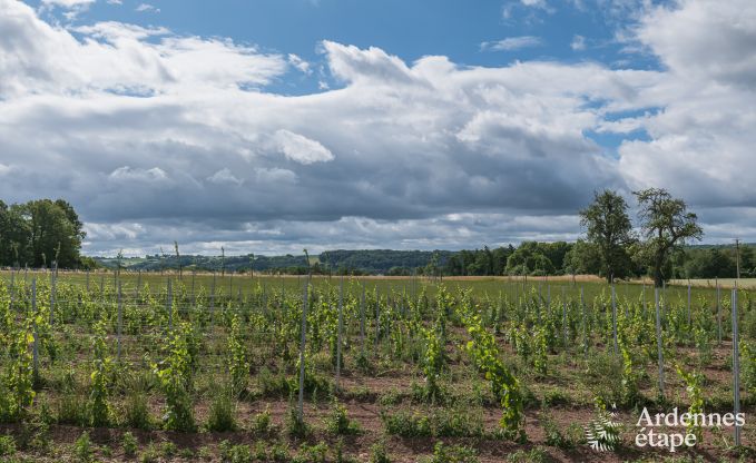 Ferienhaus Nandrin 8 Pers. Ardennen Schwimmbad