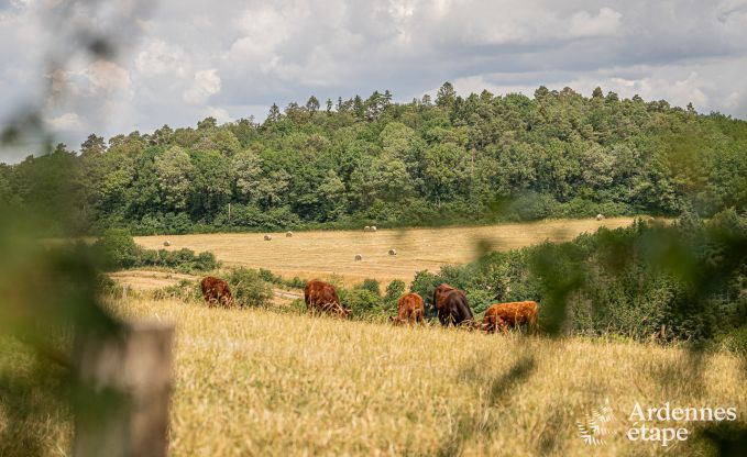 auergewhnliche Ferienwohnung Nassogne 2 Pers. Ardennen Wellness