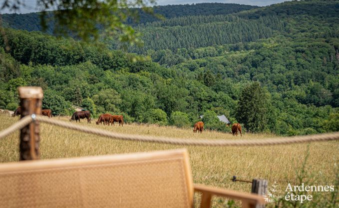 au�ergew�hnliche Ferienwohnung Nassogne 2 Pers. Ardennen Wellness