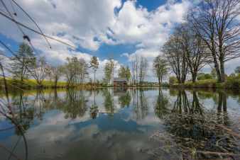 Modernes Chalet mit Teich in den Ardennen für 4 Personen