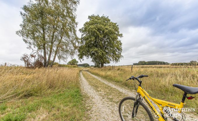 Ferienhaus Neufchateau 9 Pers. Ardennen Wellness Behinderten gerecht