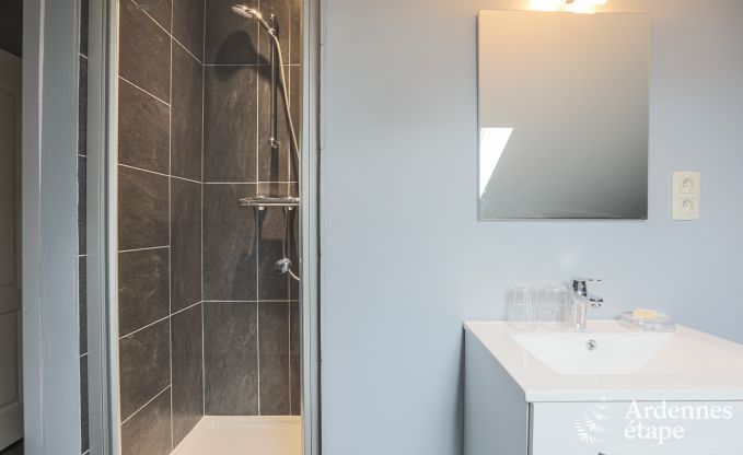 Ferienhaus Neufchateau 9 Pers. Ardennen Wellness Behinderten gerecht