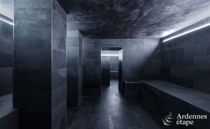 Luxusvilla in Neufchteau fr 20 Personen mit groem Wellnessbereich