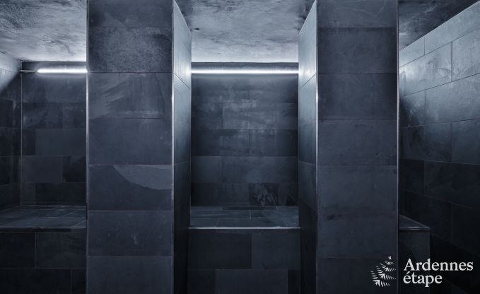 Luxusvilla in Neufchteau fr 20 Personen mit groem Wellnessbereich