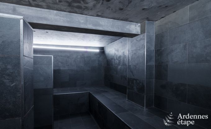 Luxusvilla in Neufch�teau f�r 20 Personen mit gro�em Wellnessbereich