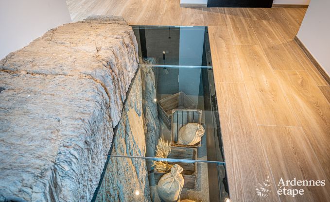 Ferienhaus Neufchteau 22/24 Pers. Ardennen Schwimmbad Wellness Behinderten gerecht